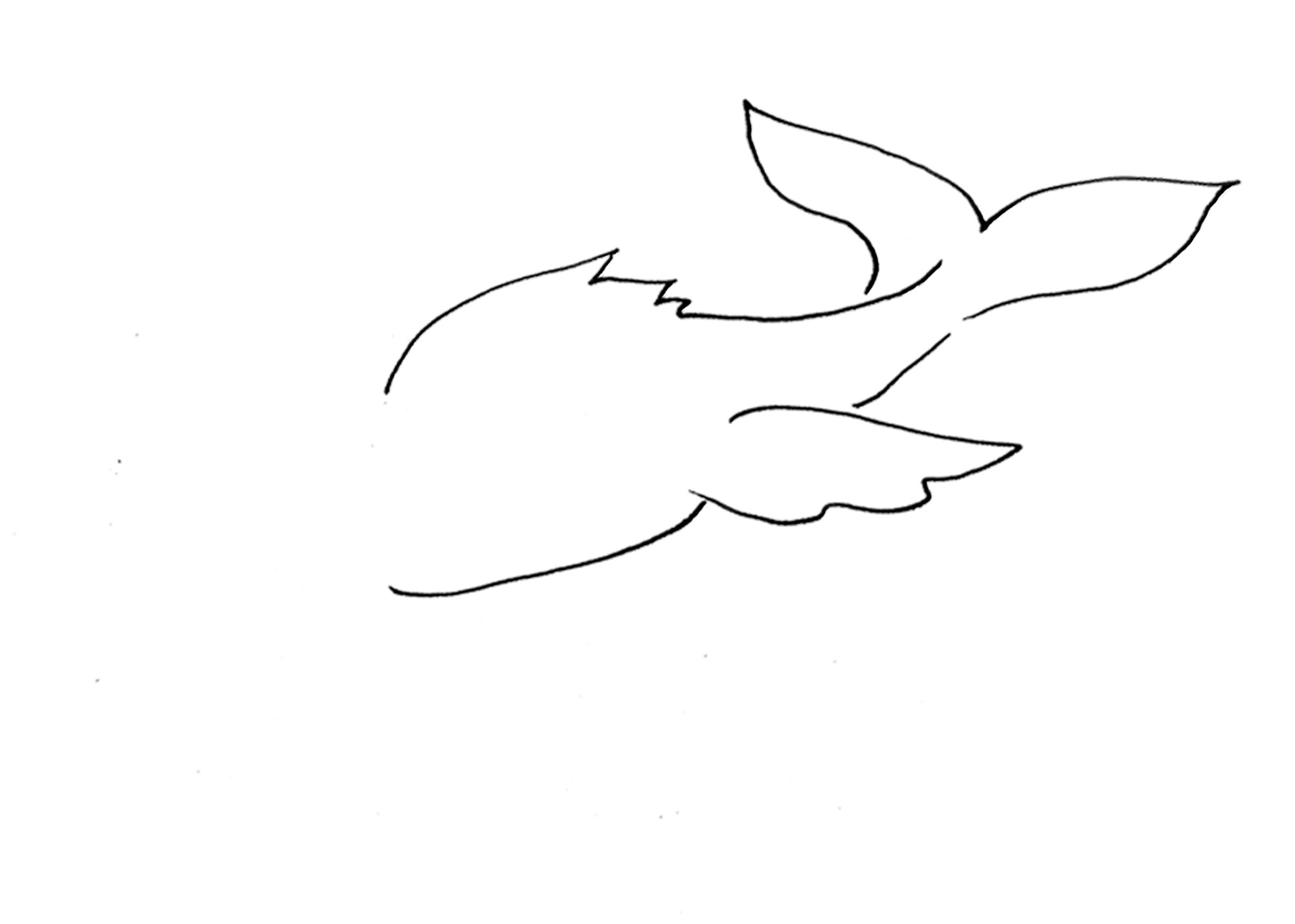 Frame 6