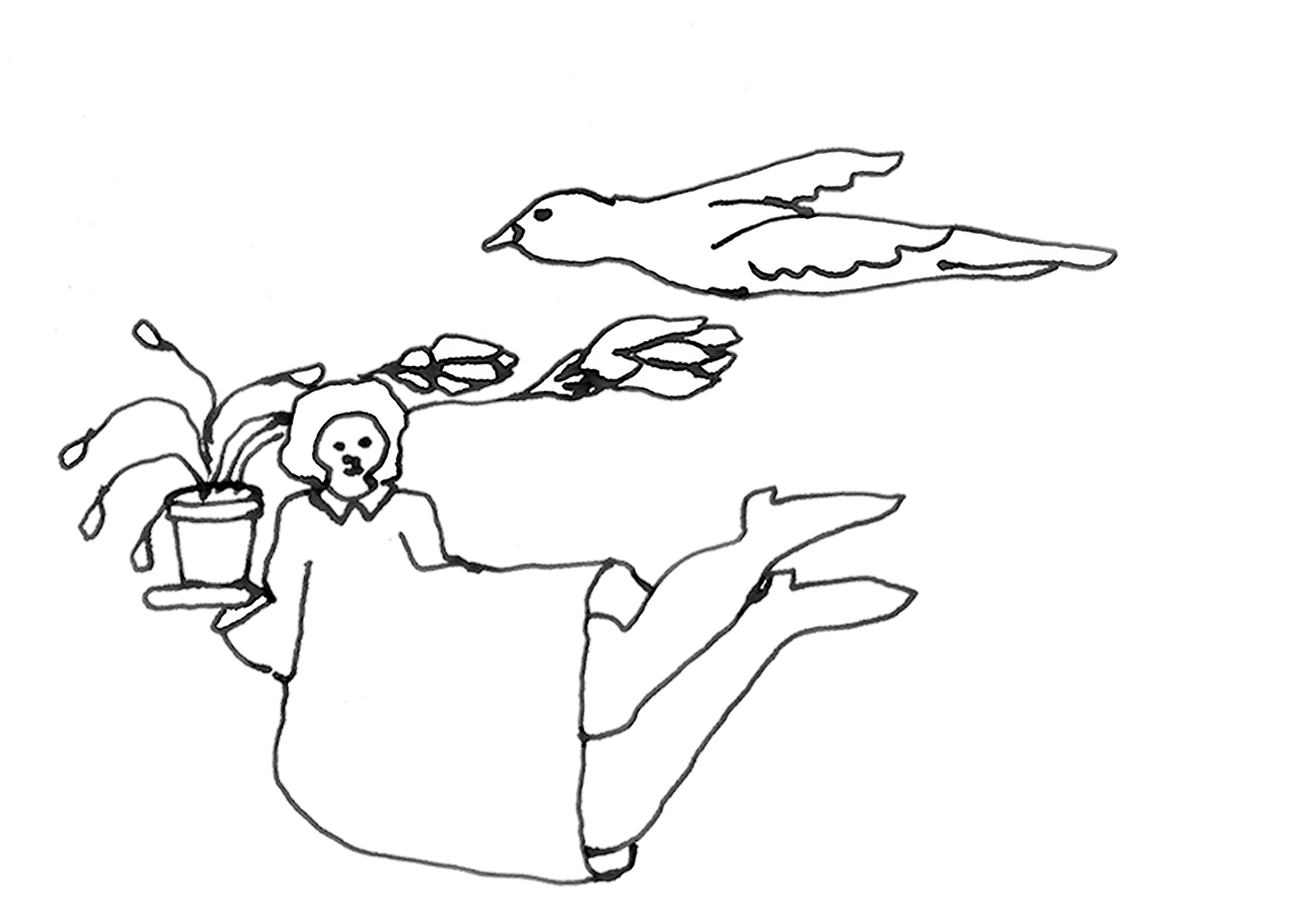 Frame 16