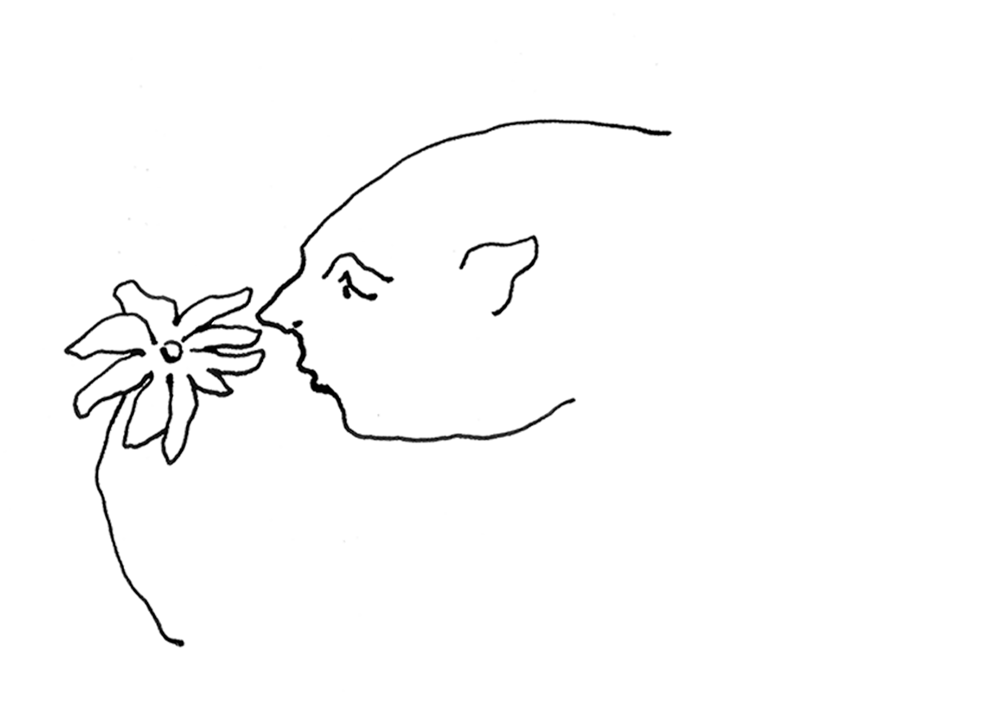 Frame 13